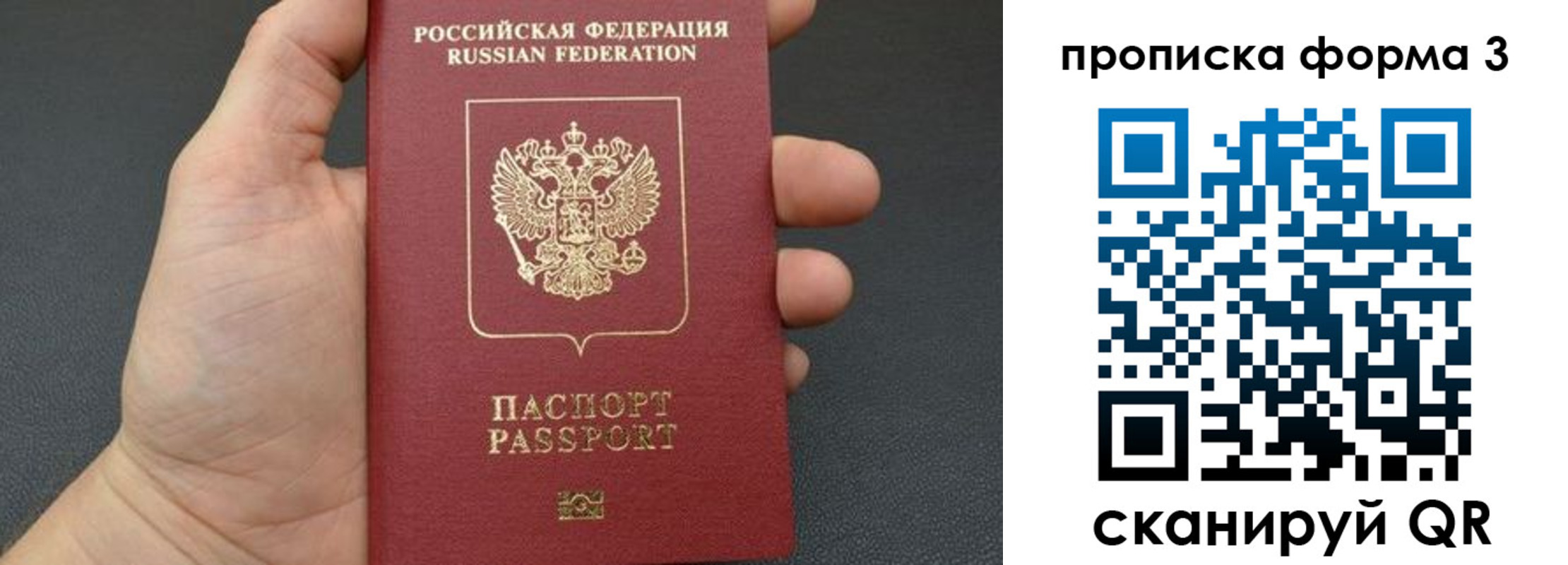 временная регистрация надежно в Петропавловске-Камчатском